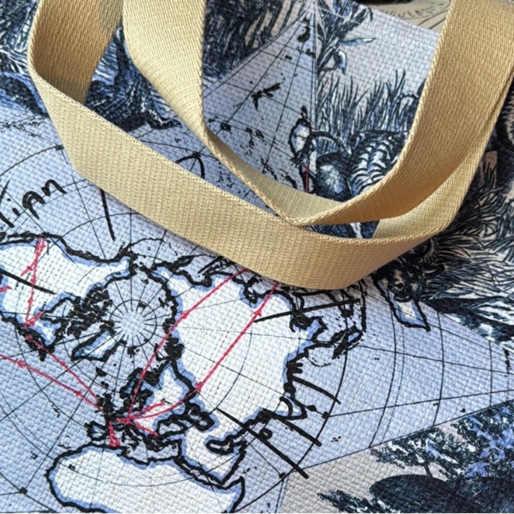 Dior “Around the World”Elegant Tote and Gift Box - Picture 6 of 8